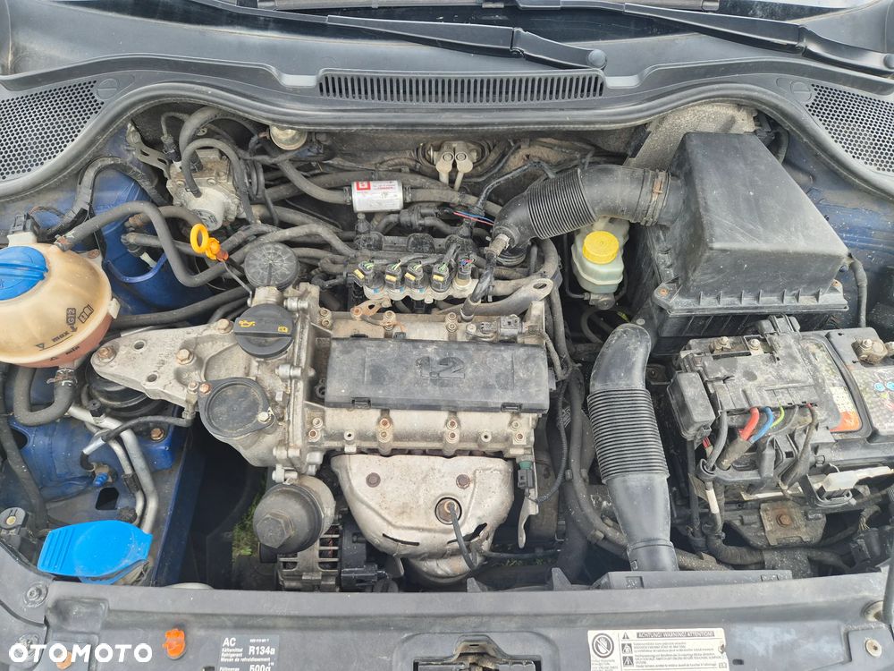 Volkswagen Polo - 13