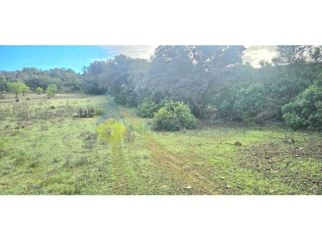 Terreno Rústico - Barradinha, Paderne | 5.625 m² | A 200m do Castel... - Grande imagem: 4/12