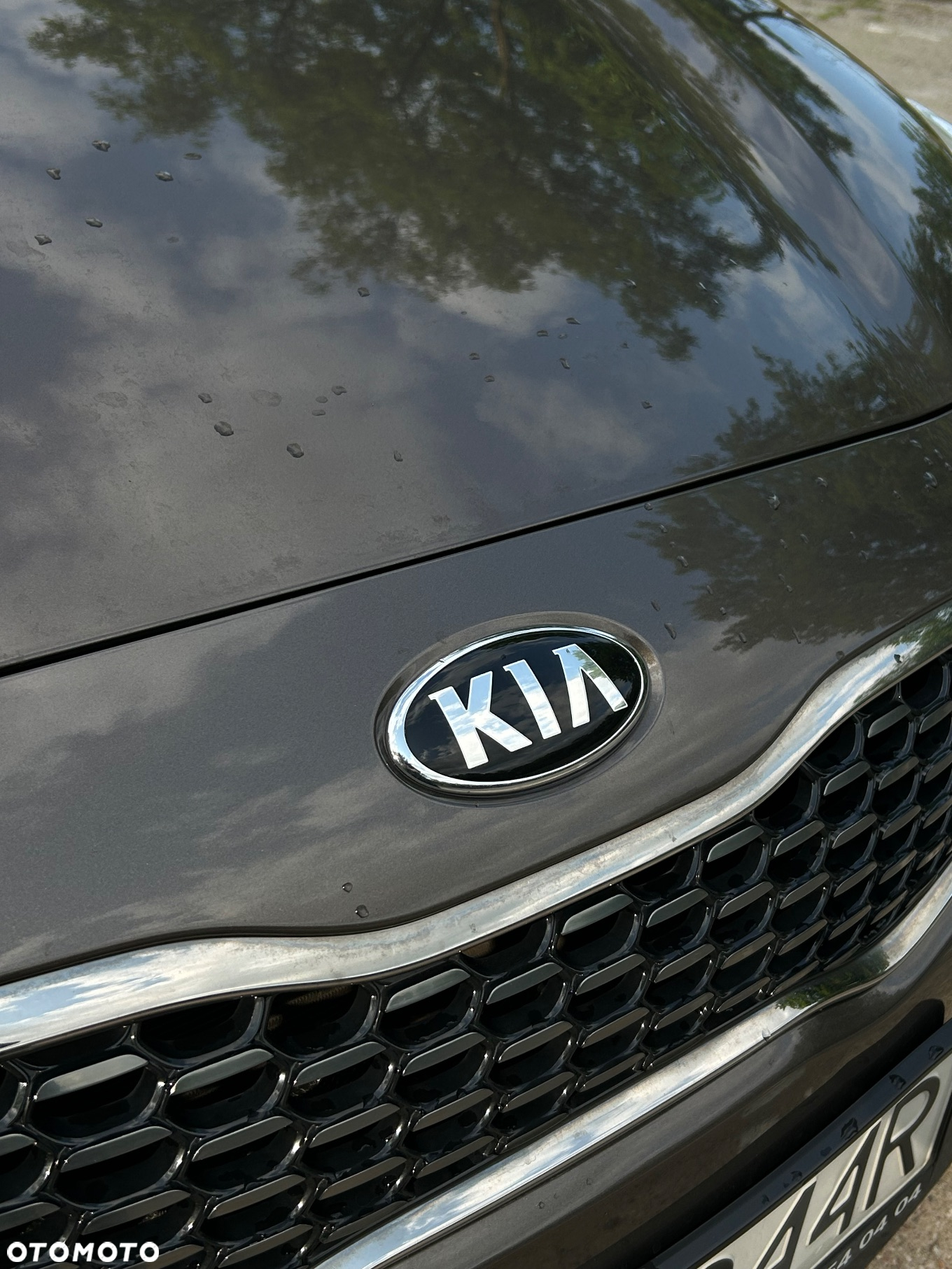 Kia Ceed - 5