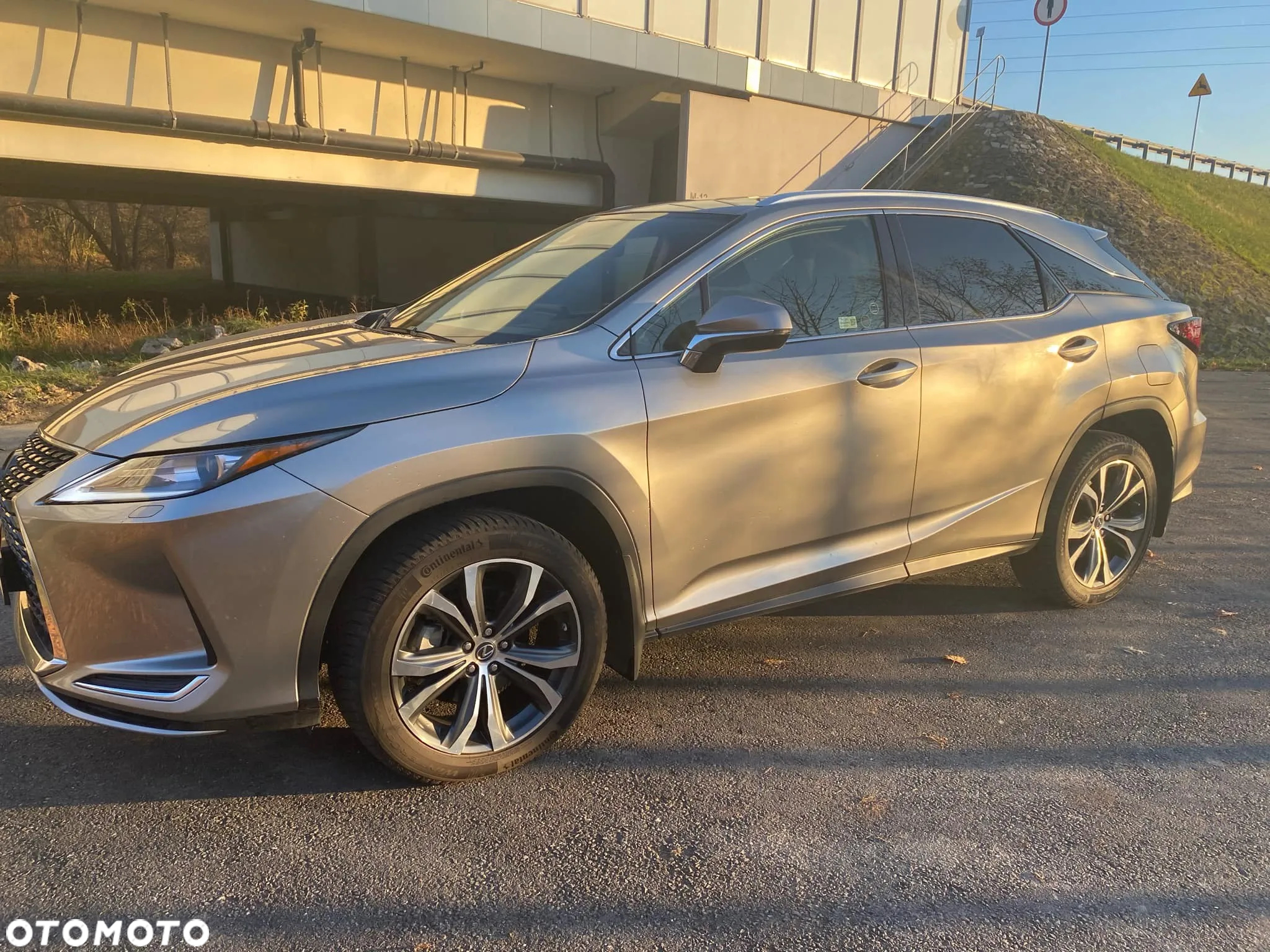 Lexus RX - 19