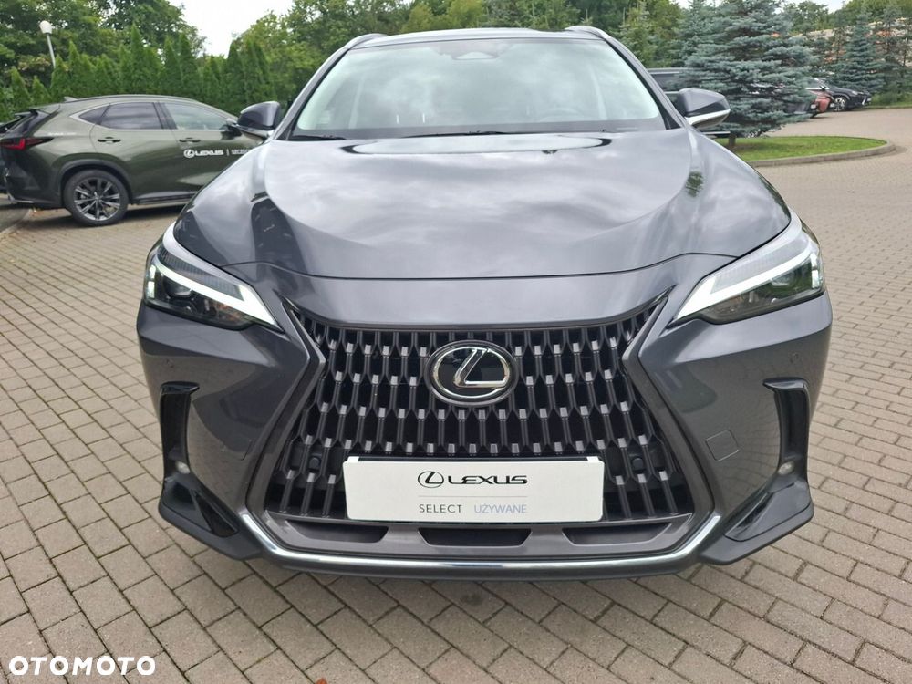 Lexus NX - 8
