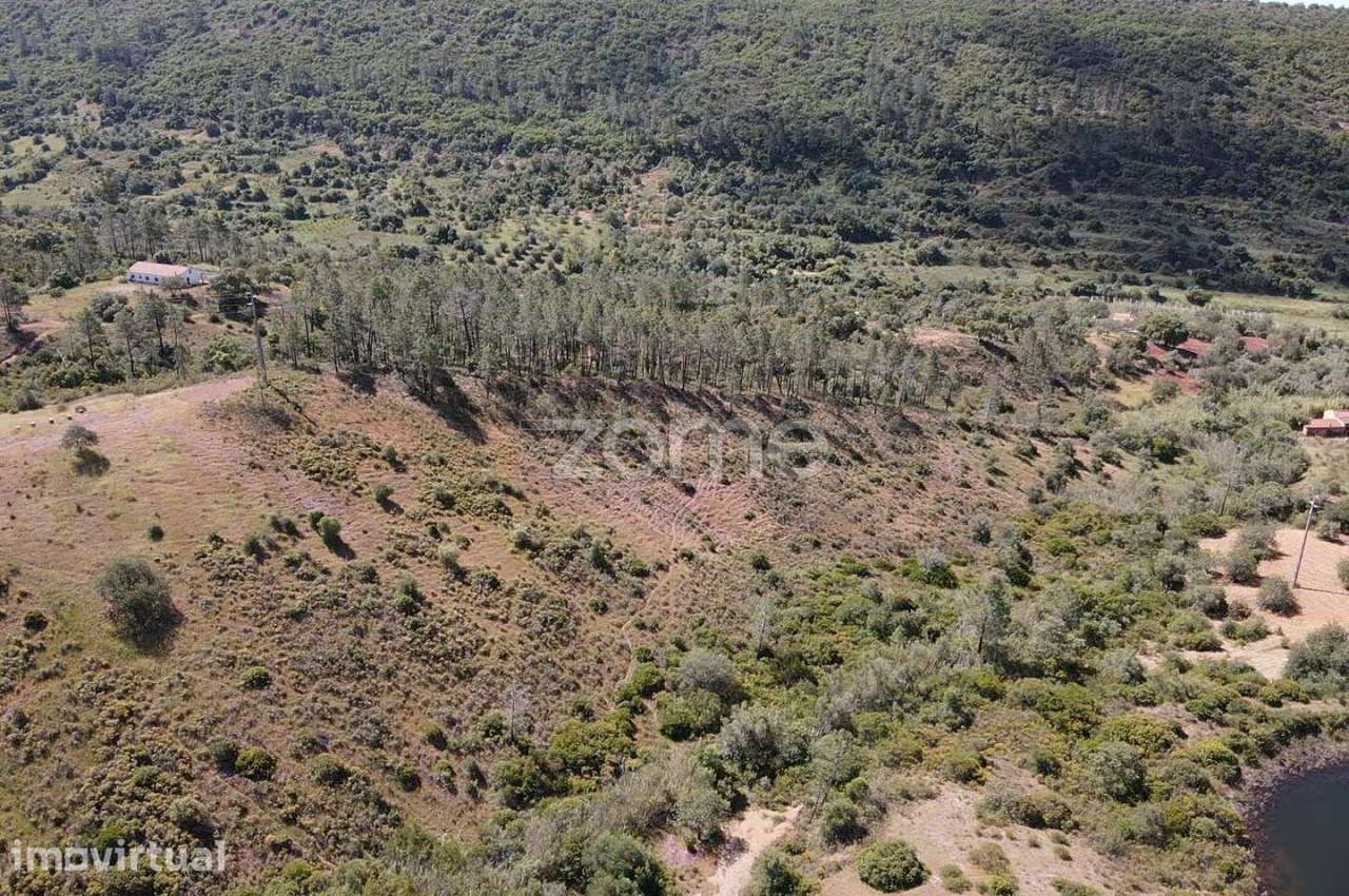 Terreno Rústico com 5.500m2 em Vale, S.B. Messines - Grande imagem: 3/13