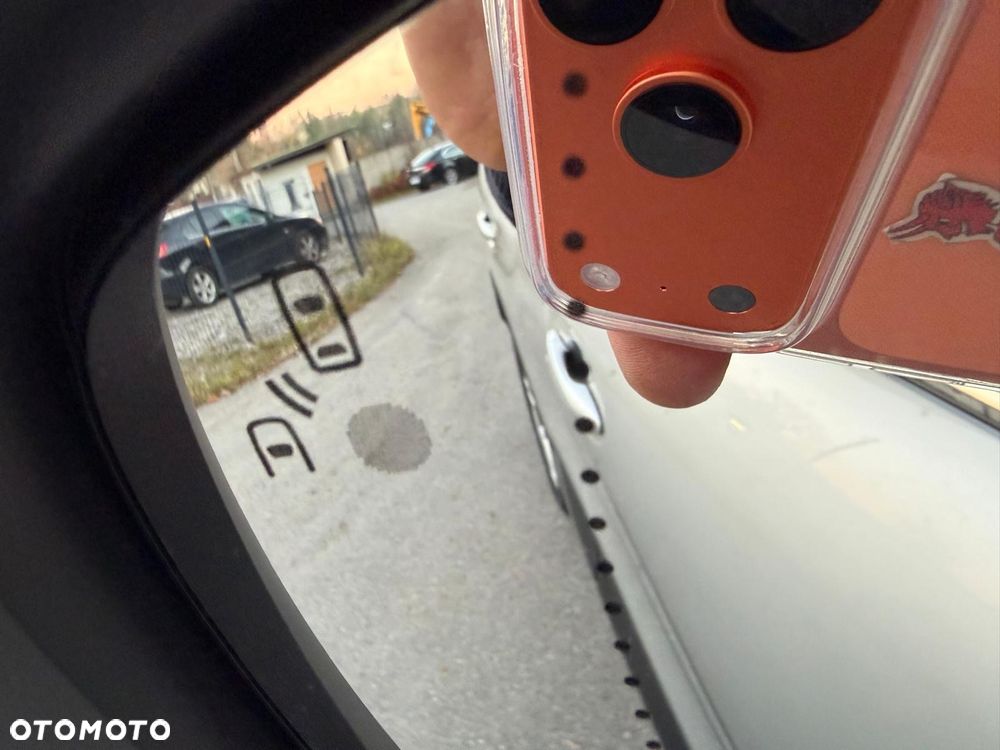 Renault Kadjar 1.6 dCi Energy Bose 4x4 - 24