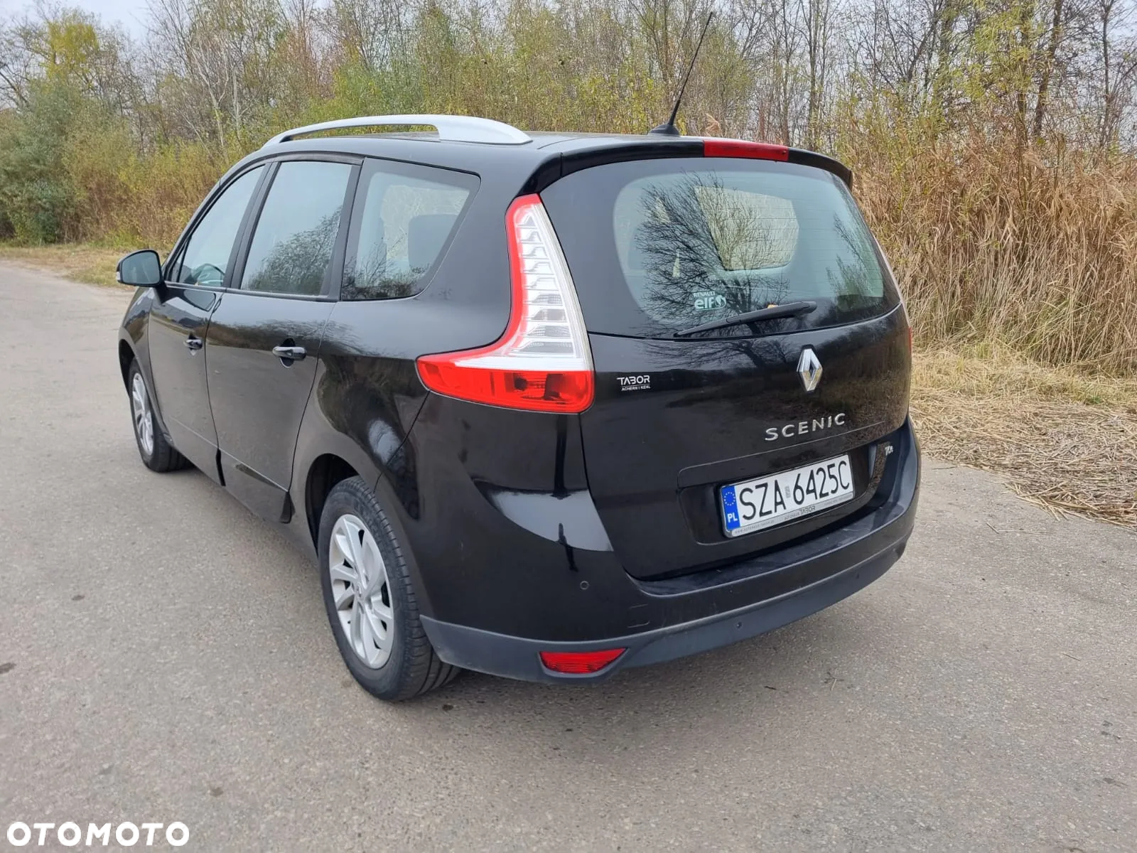Renault Scenic - 5