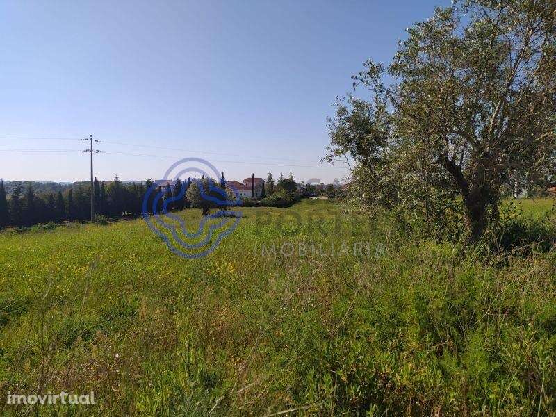 Terreno com 13.700m2 a 5 minutos da cidade de Tomar - Grande imagem: 3/19