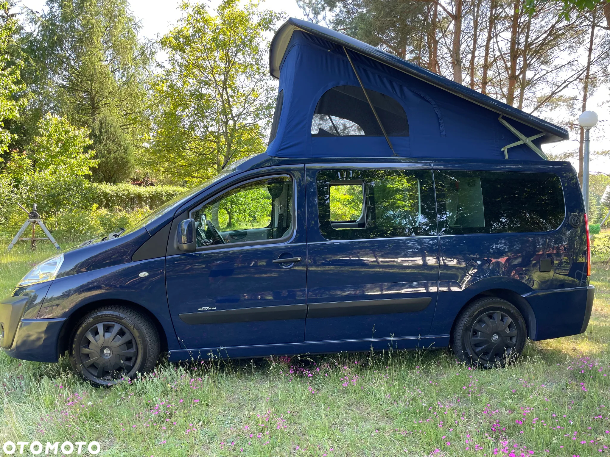 Westfalia MichelAngelo - 3