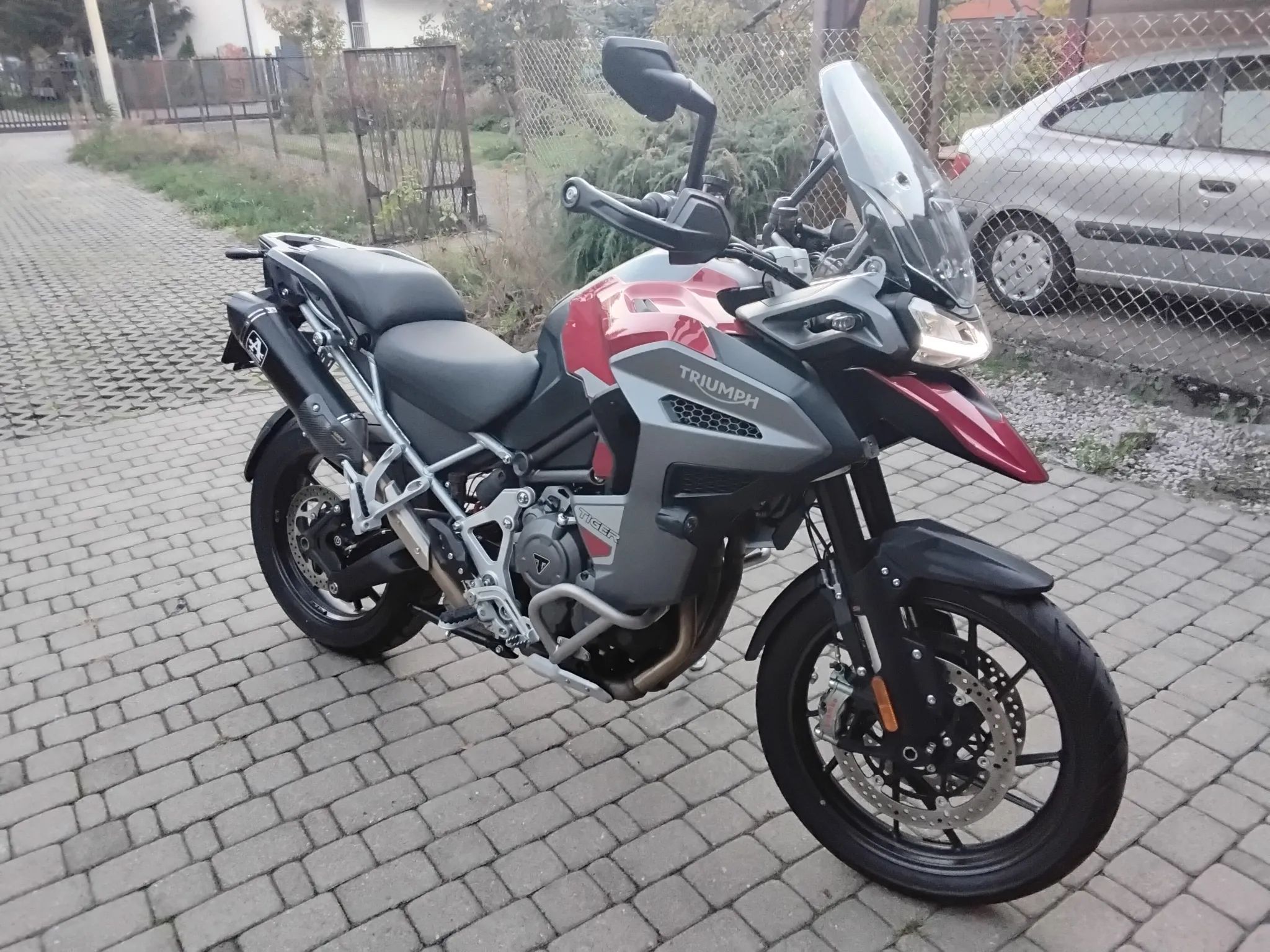 Triumph Tiger - 1