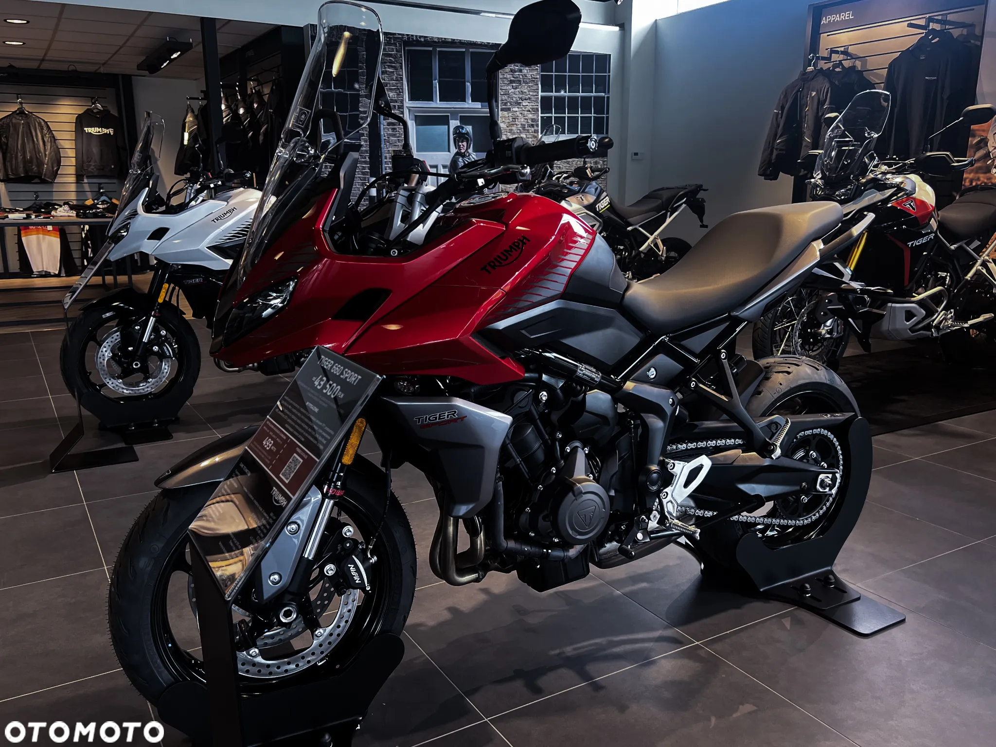 Triumph Tiger - 6