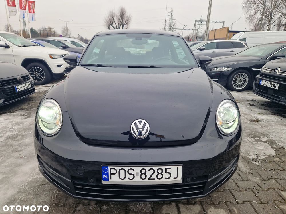 Volkswagen Beetle - 6