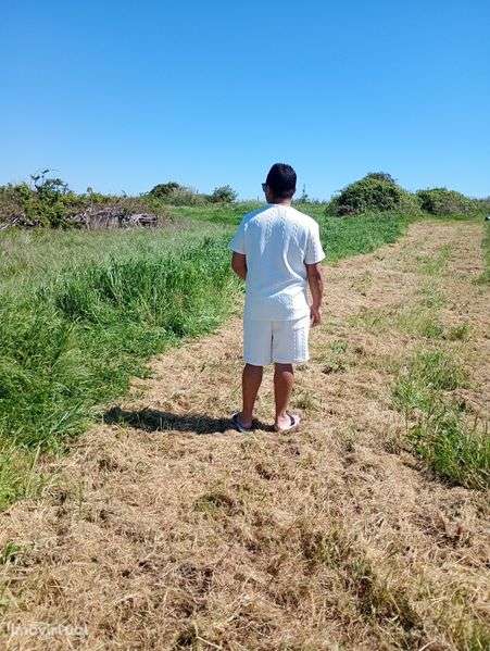 Terreno rústico em Alenquer - Grande imagem: 2/2