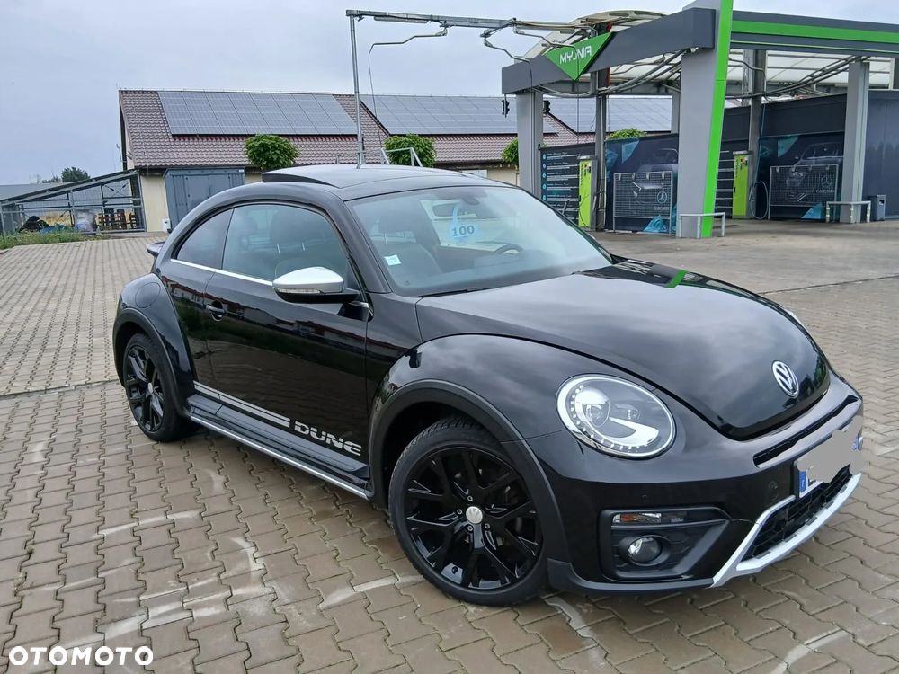 Beetle