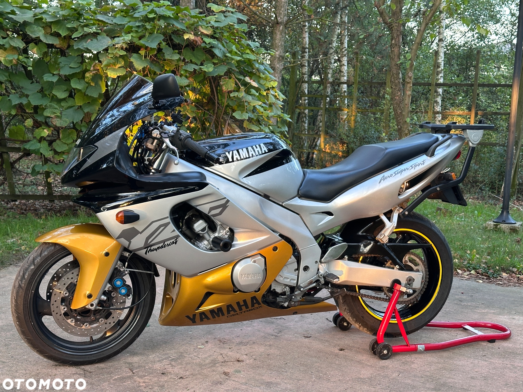 Yamaha Thundercat - 2