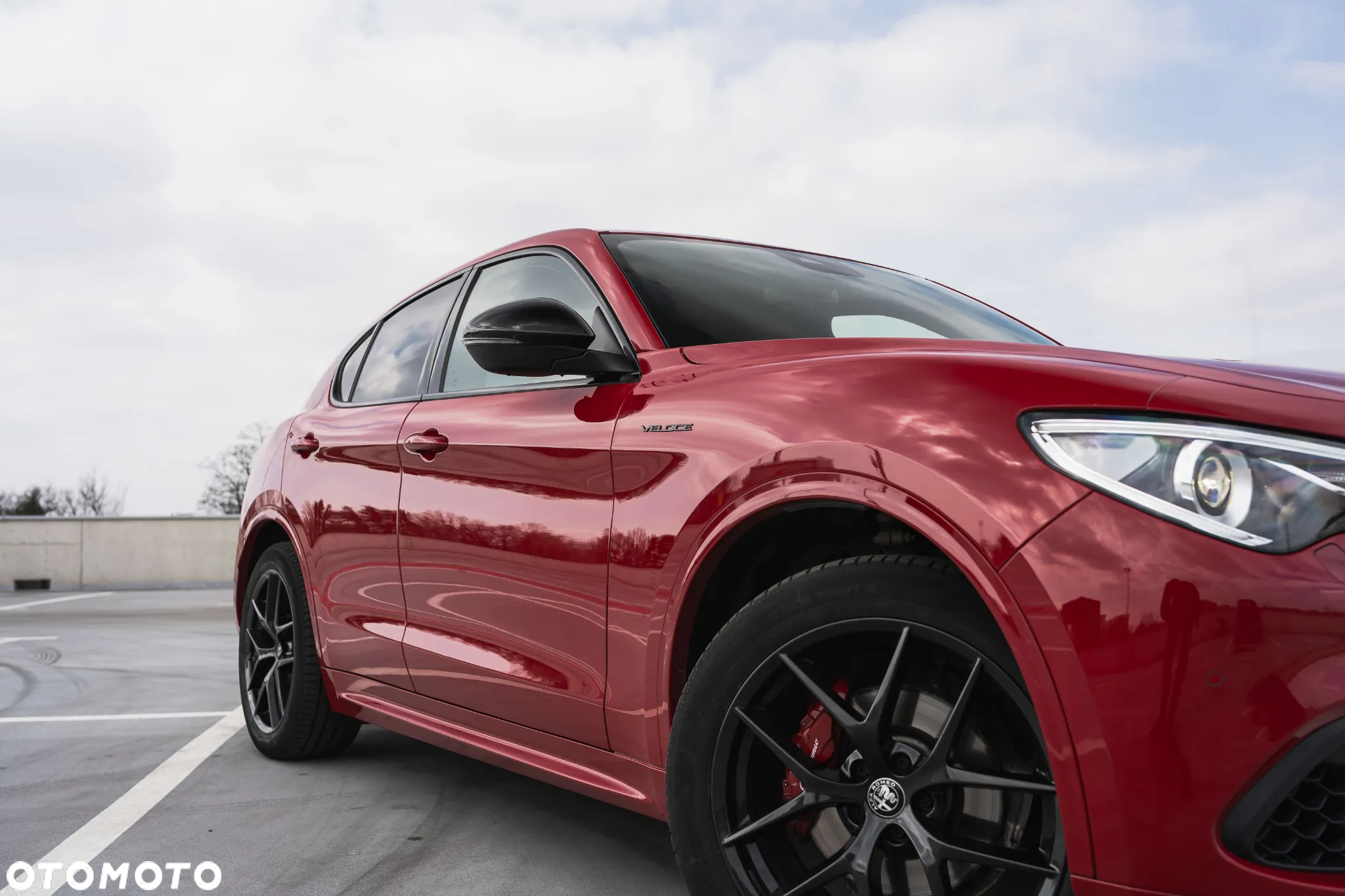 Alfa Romeo Stelvio 2.0 Turbo Veloce Q4 - 5