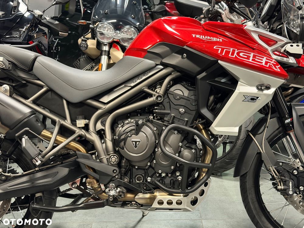 Triumph Tiger - 7