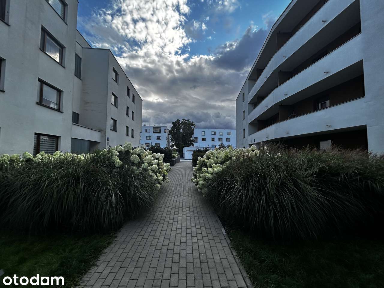Przestronne, nowoczesne 3 pokoje - Osiedle Klasyków Warszawa Białołęka