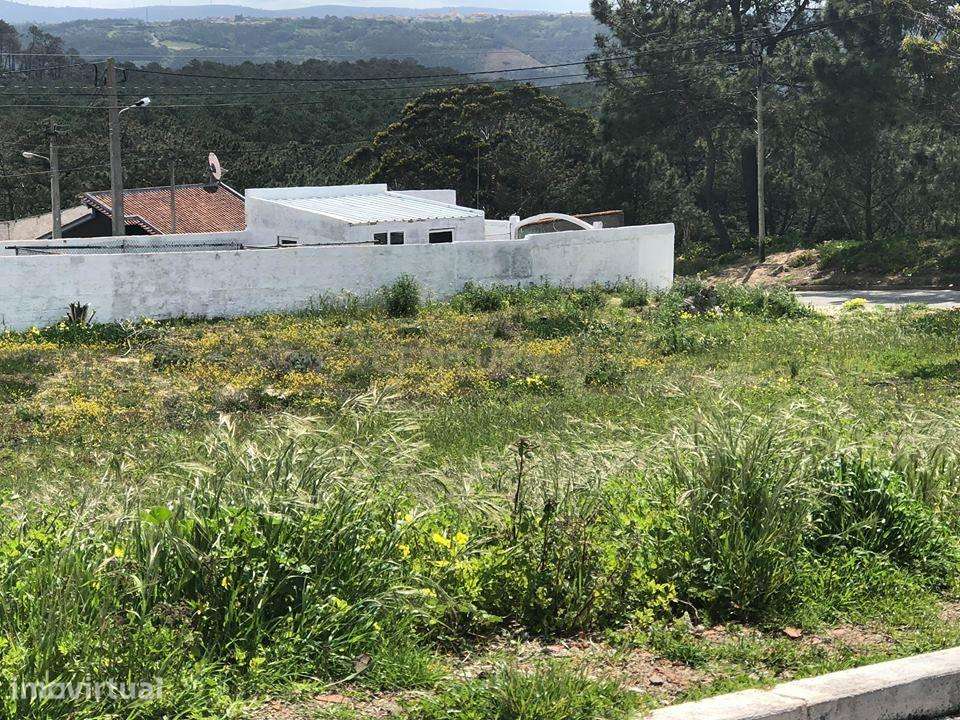 Terreno - Pederneira - Nazaré - Grande imagem: 4/5