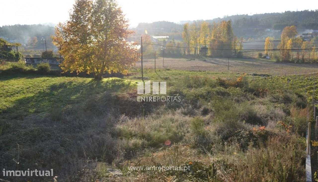 Venda Terreno, Travanca, Amarante - Grande imagem: 3/9
