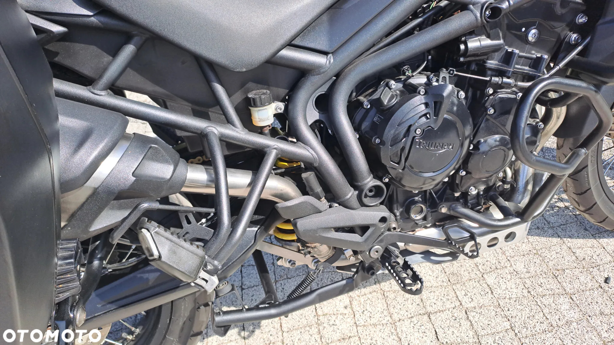Triumph Tiger - 13