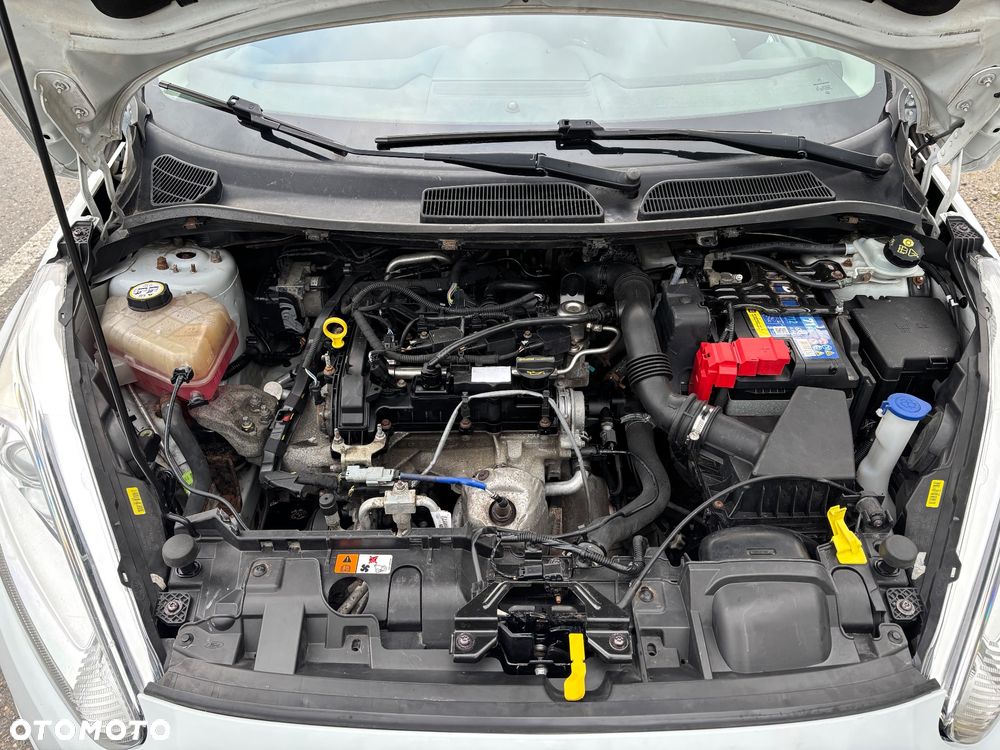 Ford Fiesta - 15
