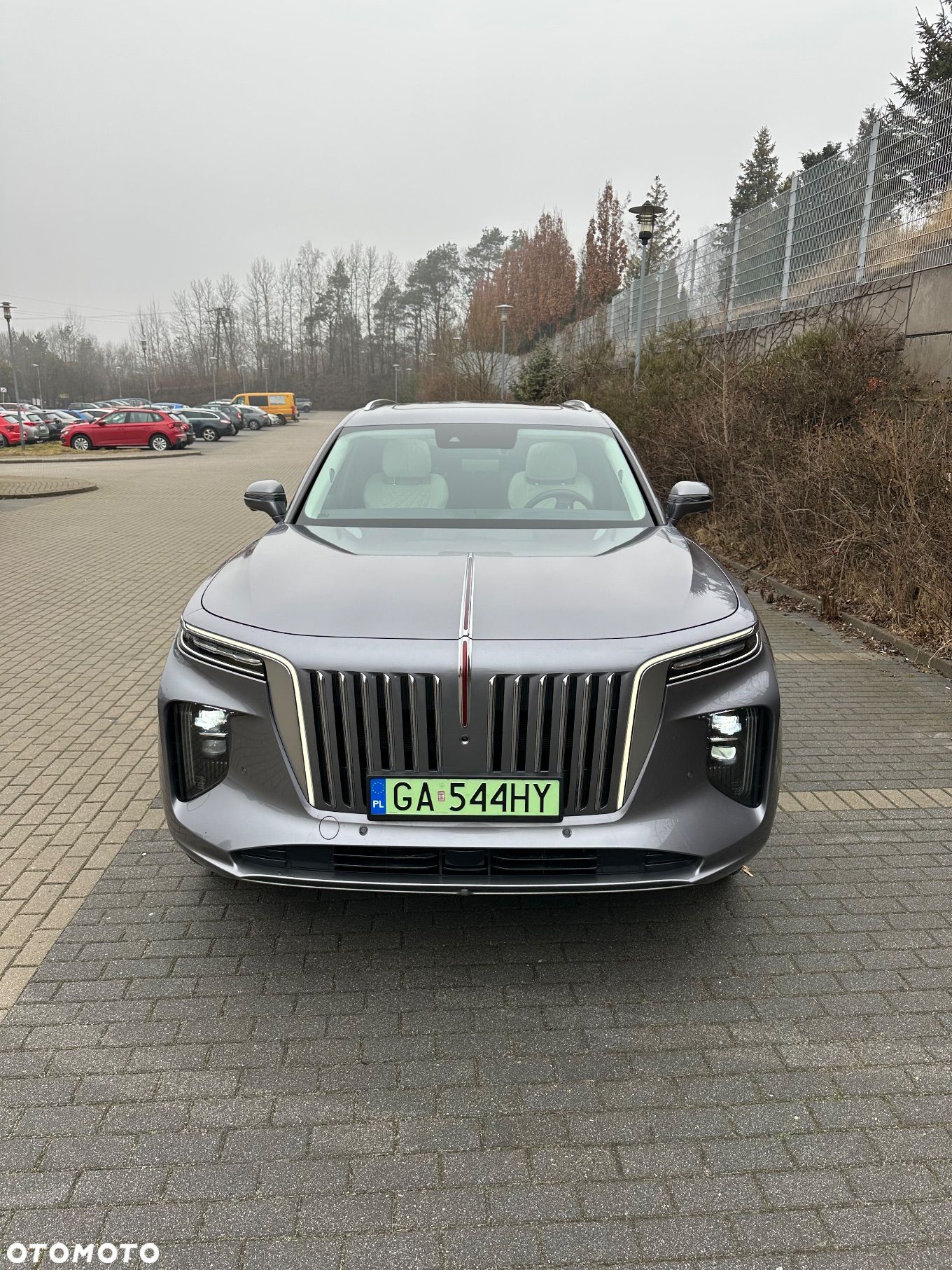 Hongqi E-HS9 - 1