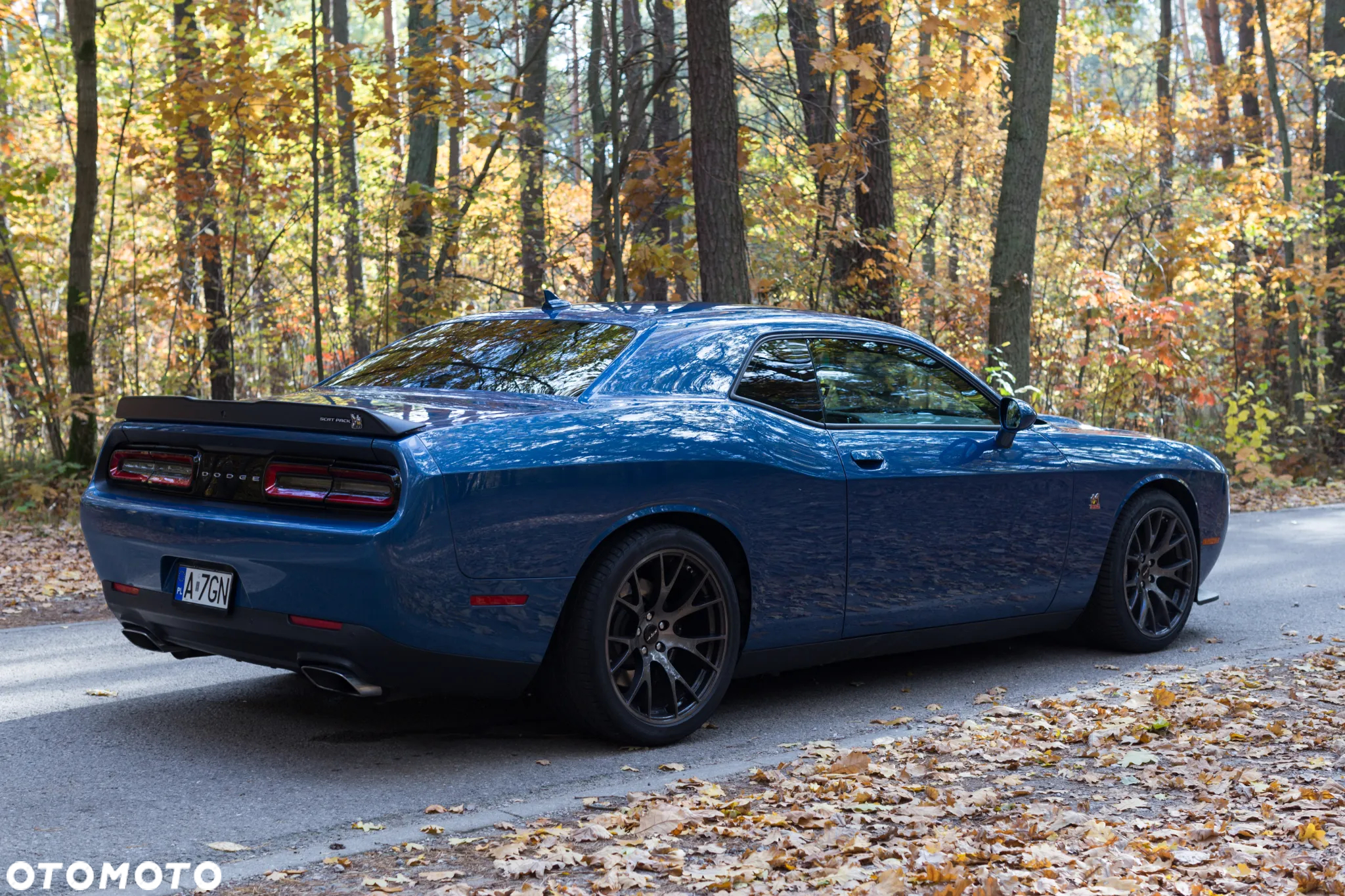 Dodge Challenger - 6