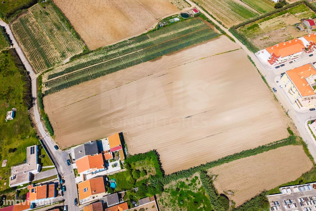 Terreno para Construção em Atouguia da Baleia - Grande imagem: 2/13