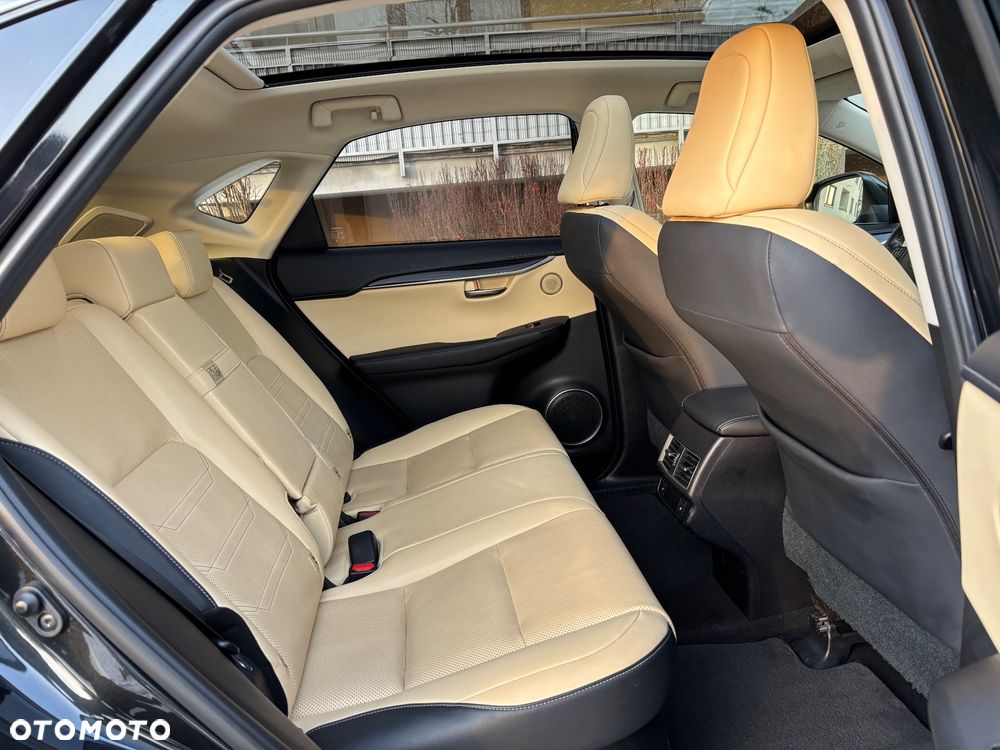 Lexus NX 300h Omotenashi AWD - 12
