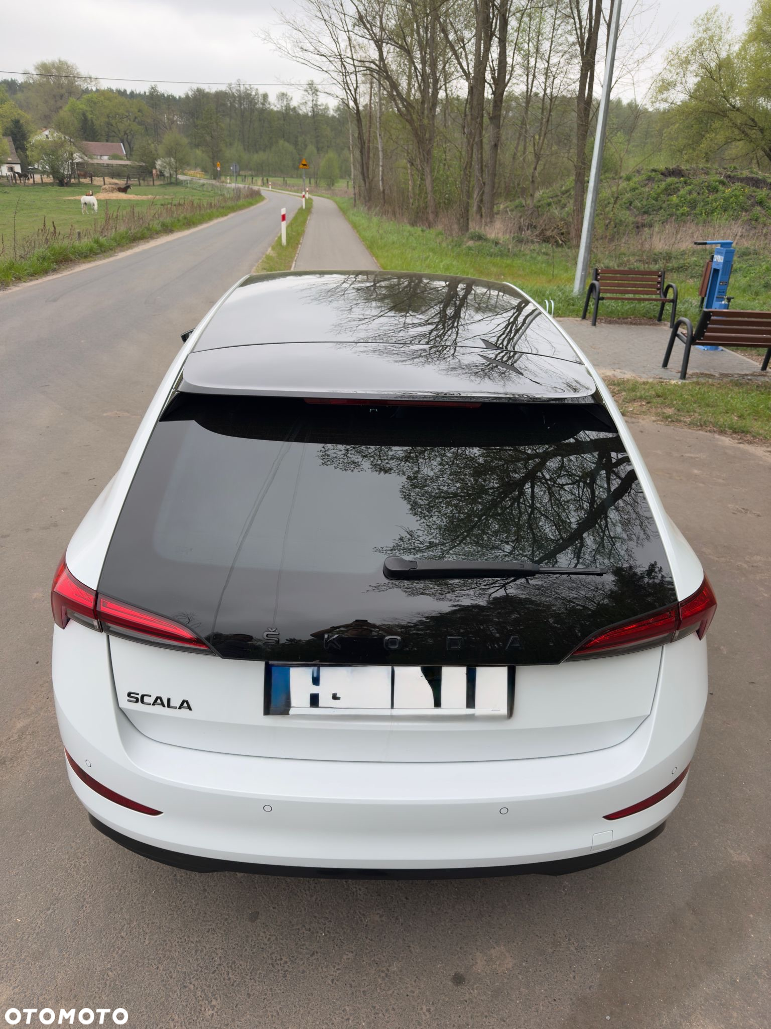 Skoda Scala 1.0 TSI Monte Carlo DSG - 7