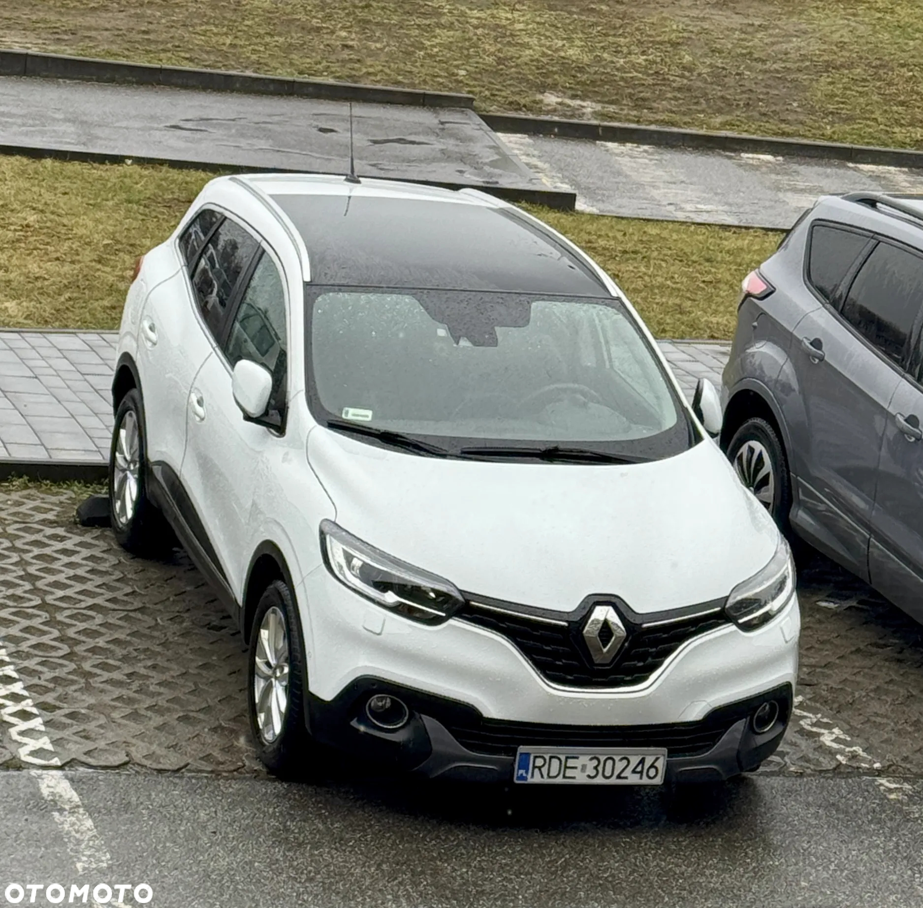 Renault Kadjar 1.2 Energy TCe Intens - 24