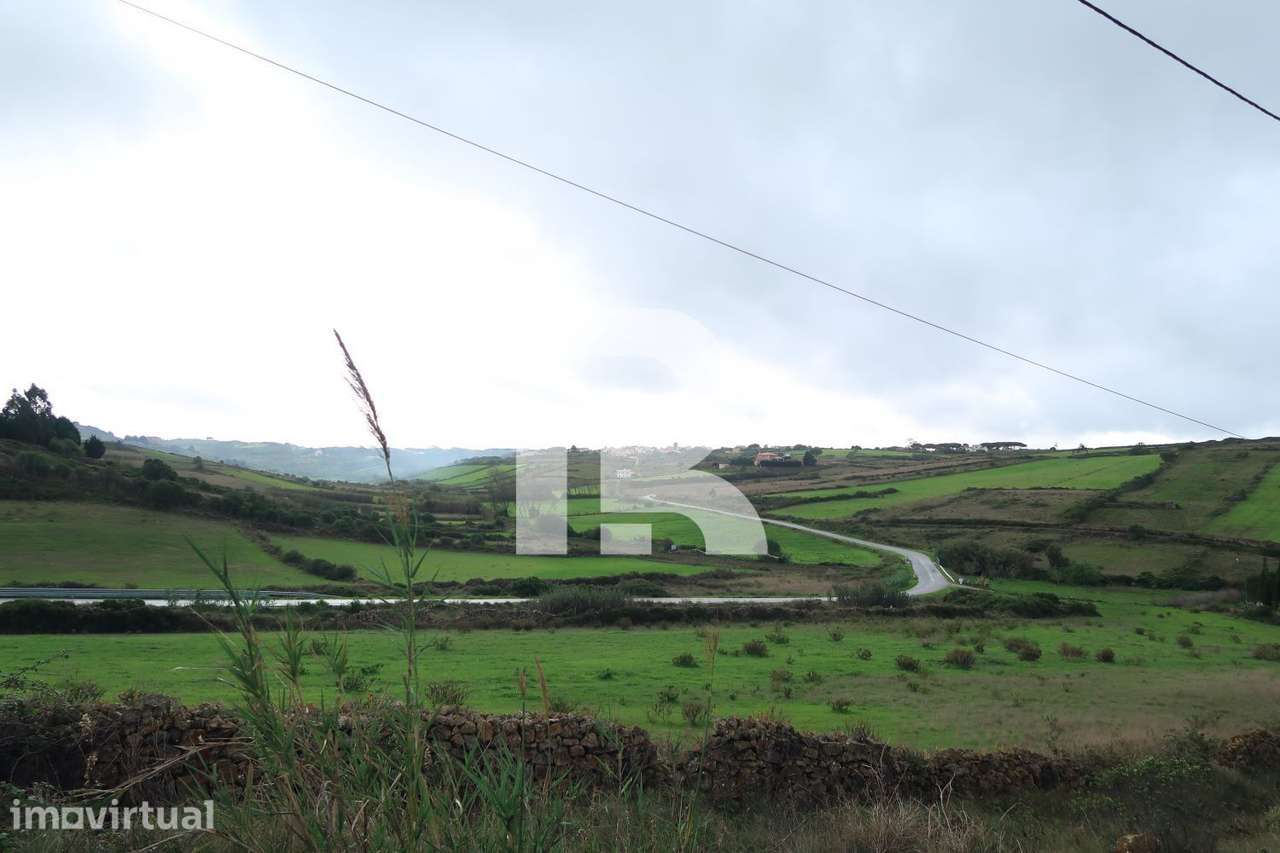 Terreno Rústico em Areias, S. João das lampas - Grande imagem: 5/11