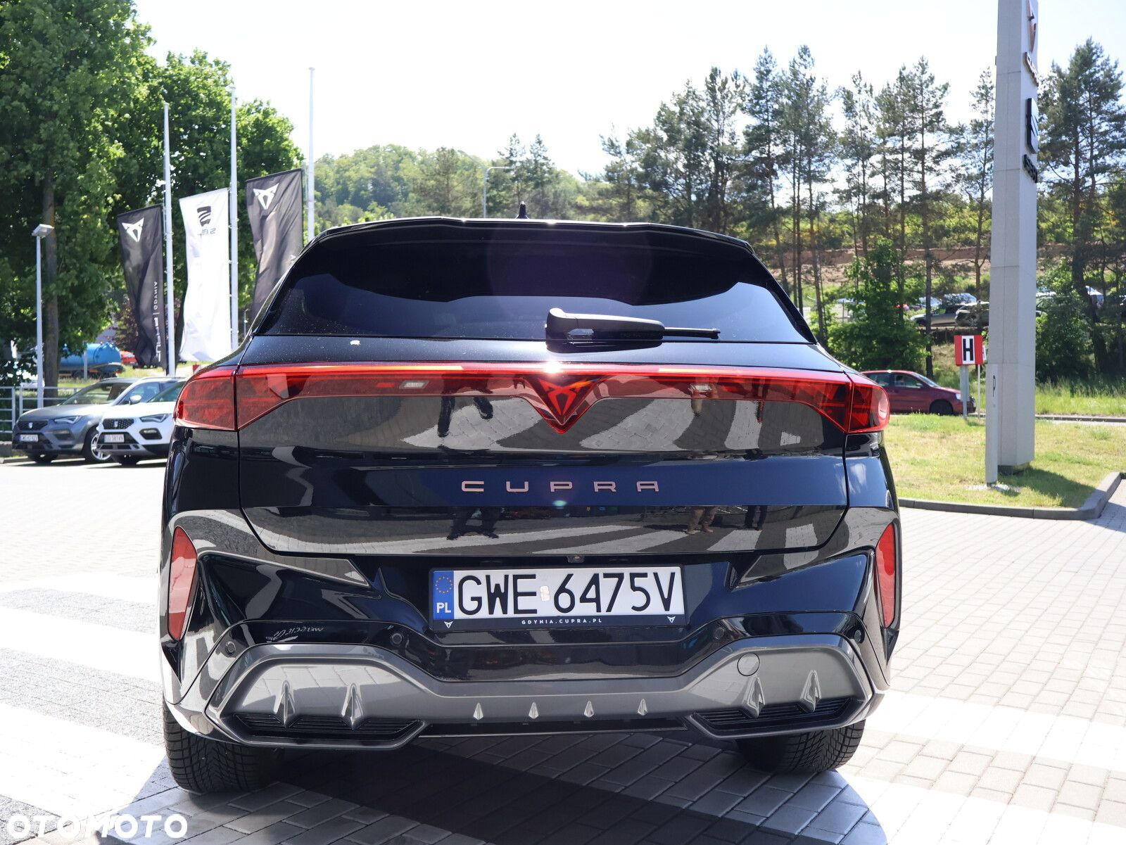 Cupra Terramar - 10