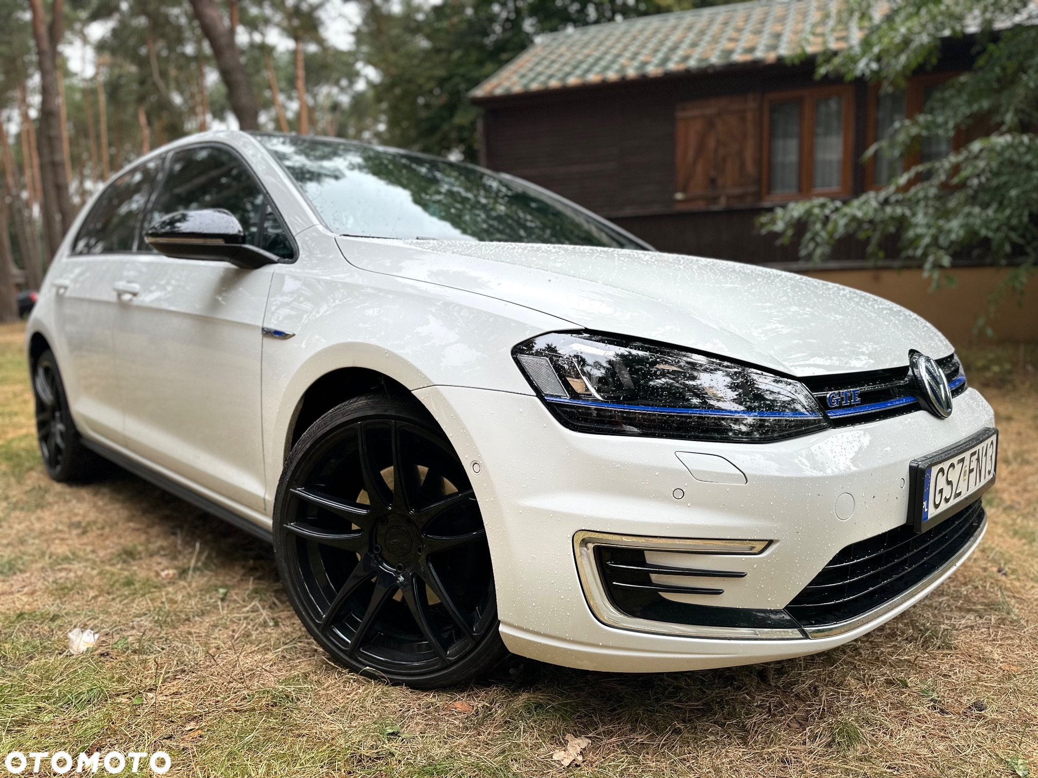 Volkswagen Golf - 16