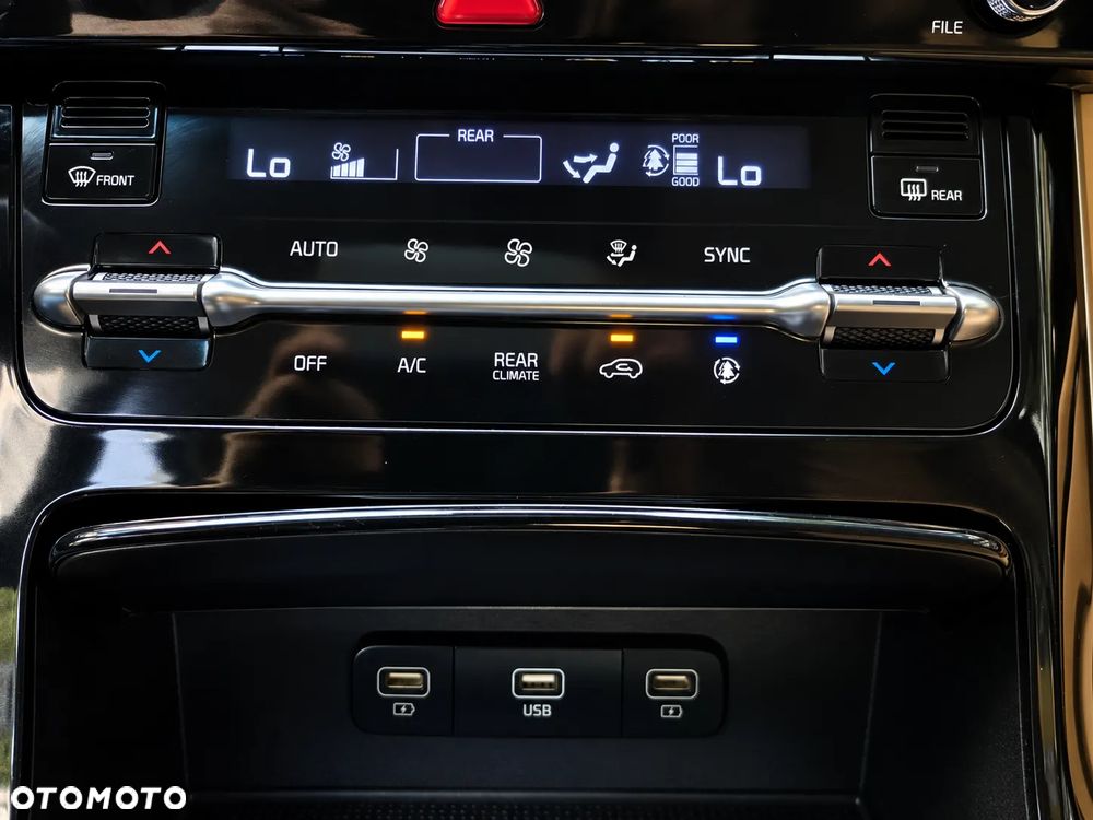 Kia Carnival - 13