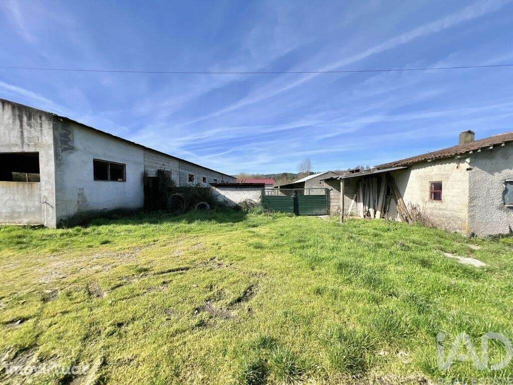 Quinta T3 em Quintela de Azurara de 113 m2 - Grande imagem: 4/35