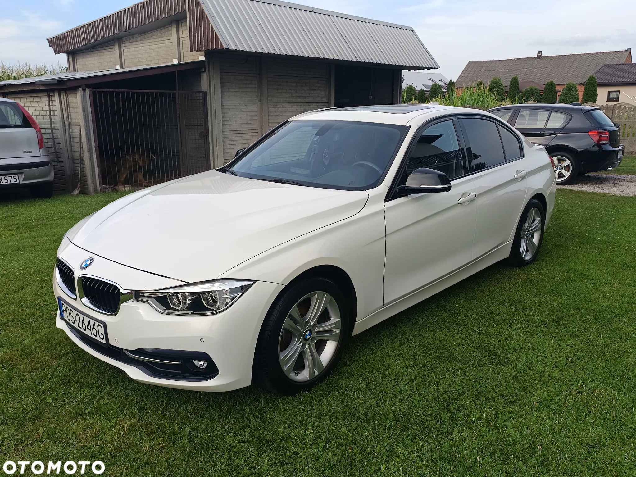 BMW Seria 3 316d M Sport Shadow - 3