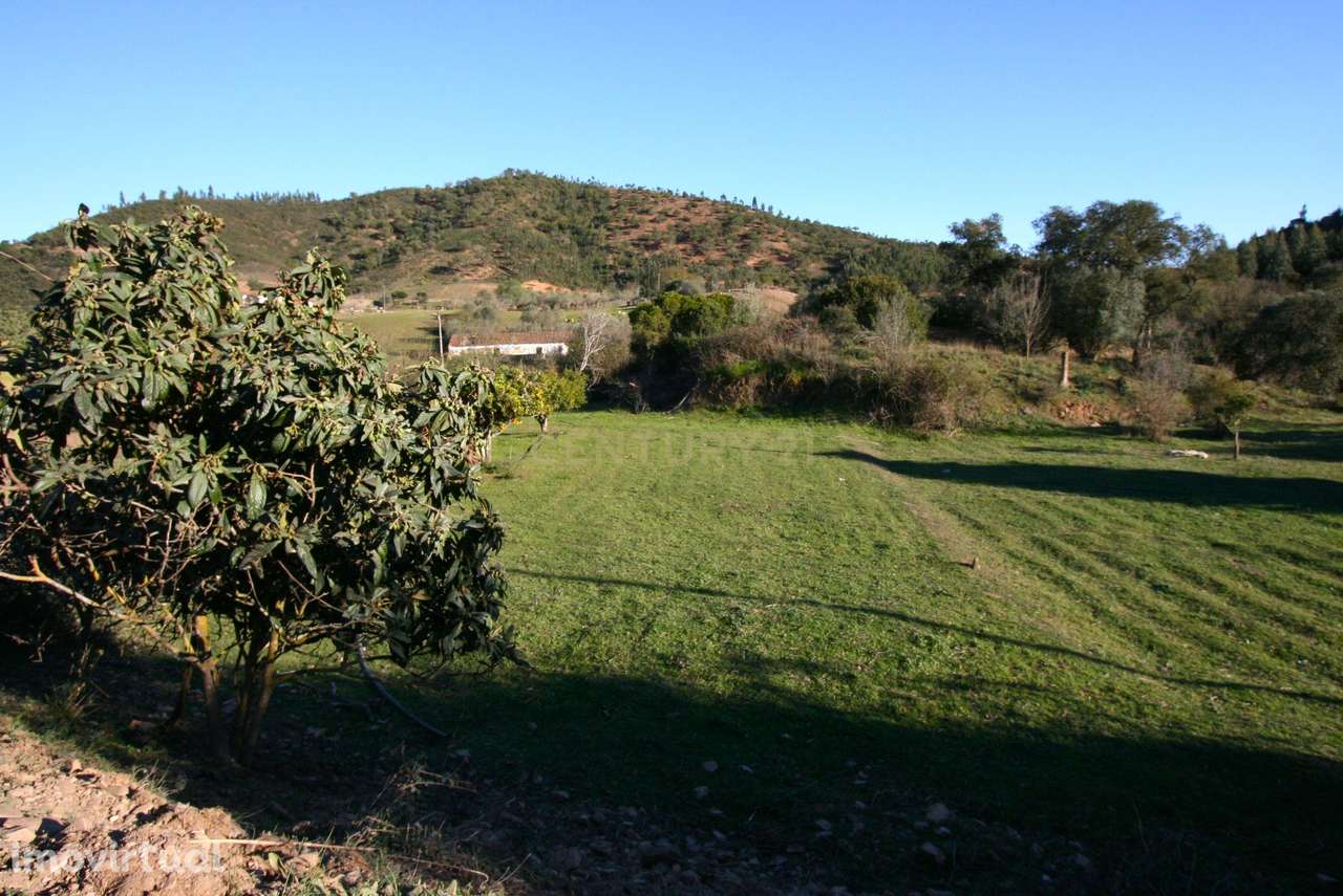 Moradia tradicional em Zebro de Baixo, São Bartolomeu de Messines - Grande imagem: 3/12