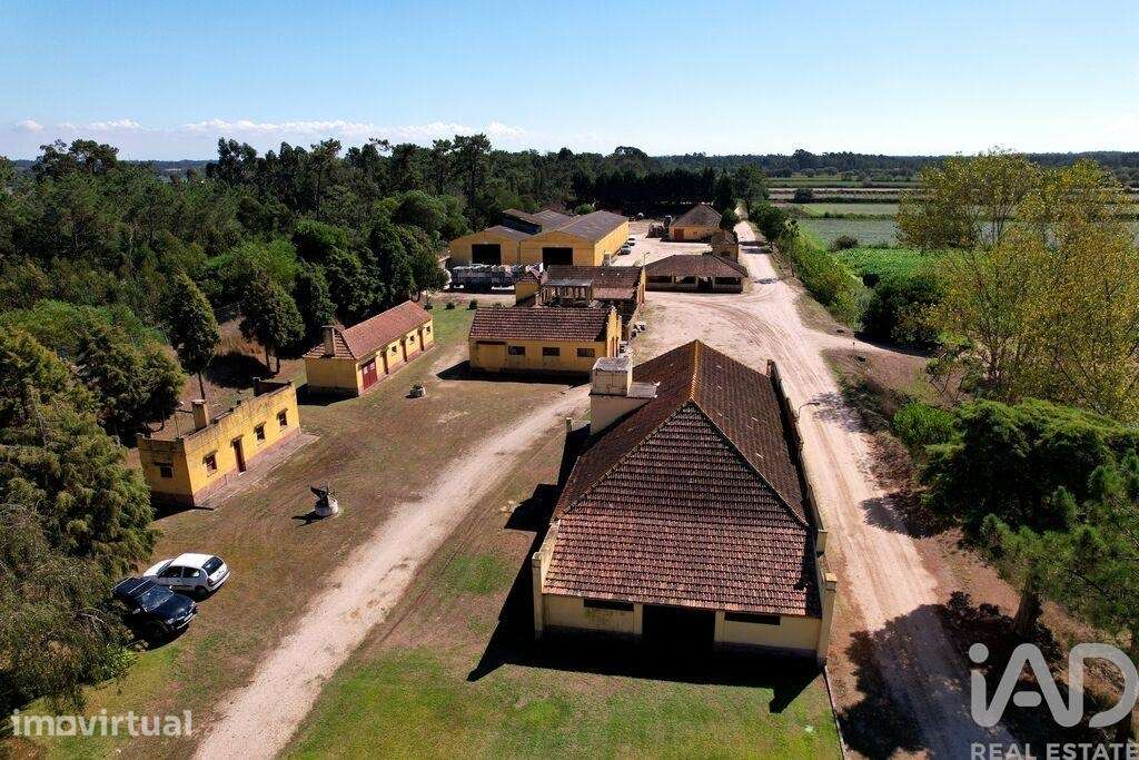 Casa / Villa T8 em Ílhavo (São Salvador) de 1273500,00 m2 - Grande imagem: 2/21