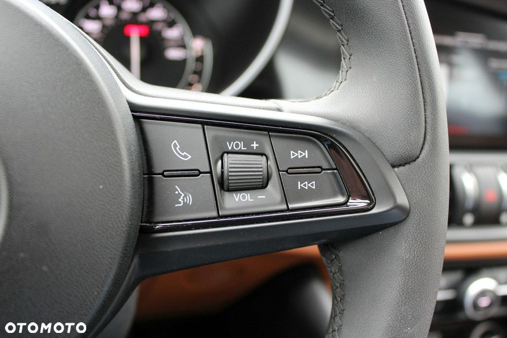 Alfa Romeo Giulia - 21