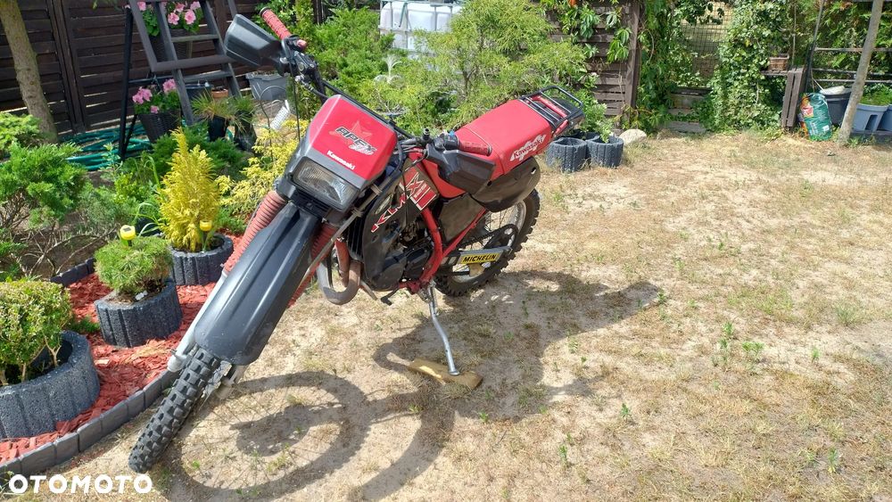 Kawasaki KLR - 10