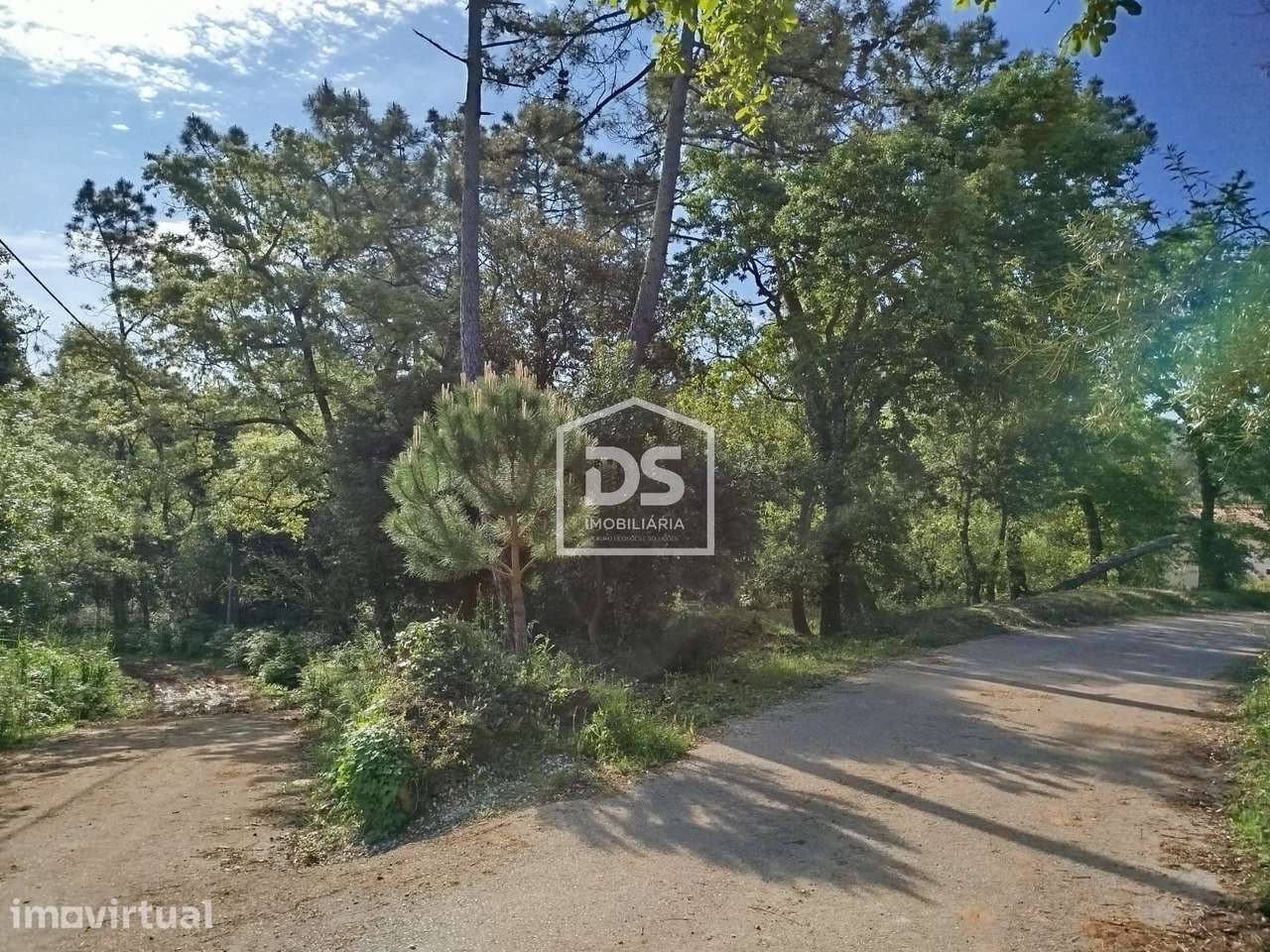 Terreno  Venda em Évora de Alcobaça,Alcobaça - Grande imagem: 3/7