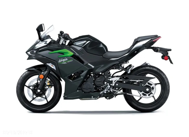 Kawasaki Ninja - 6