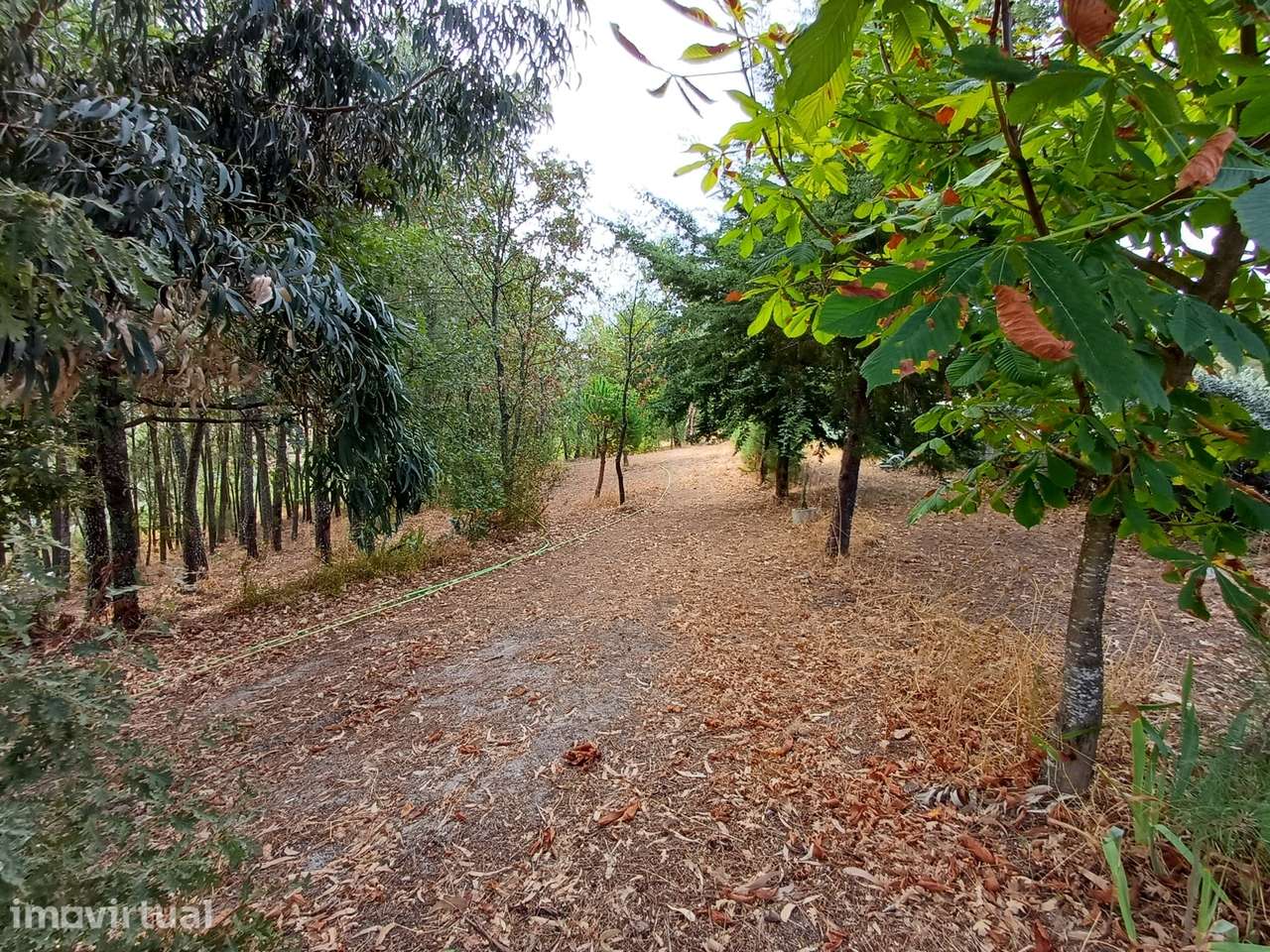 Propriedade com 2 casas - Grande imagem: 3/29