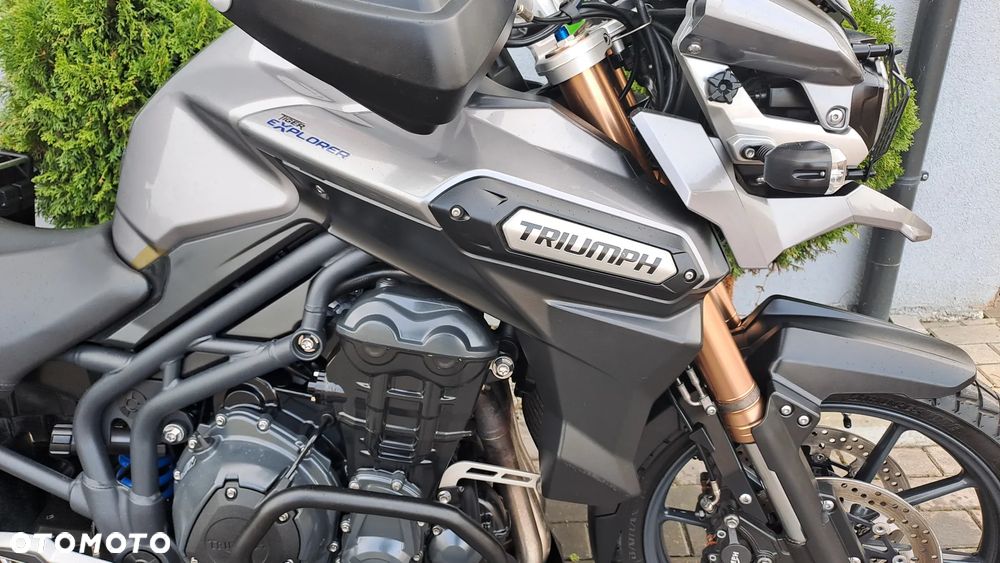 Triumph Tiger - 11