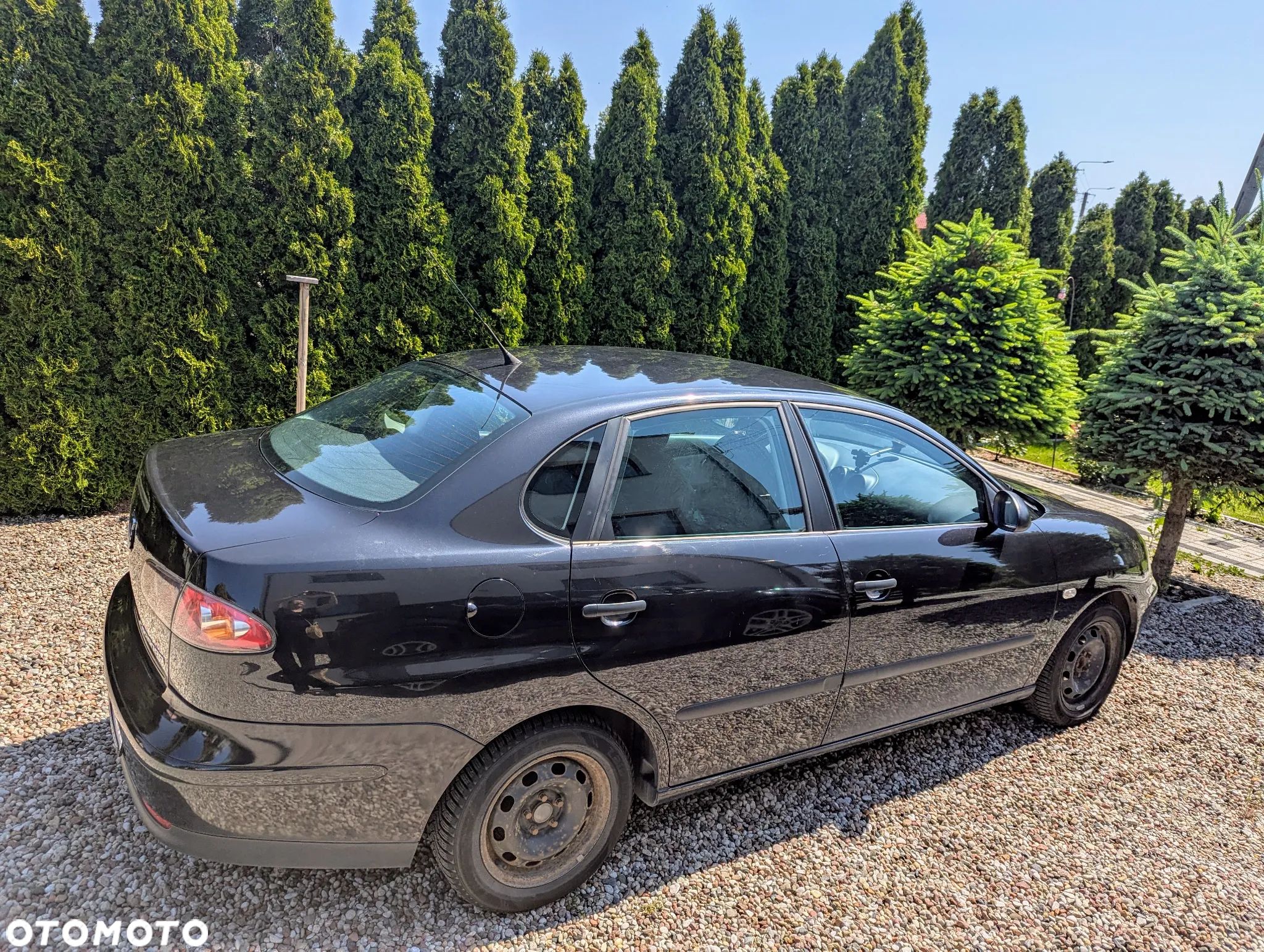 Seat Cordoba - 1