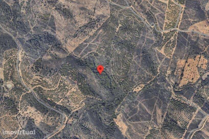 Terreno Rústico com 18080 entre Pereiro e Alcoutim. - Grande imagem: 2/3