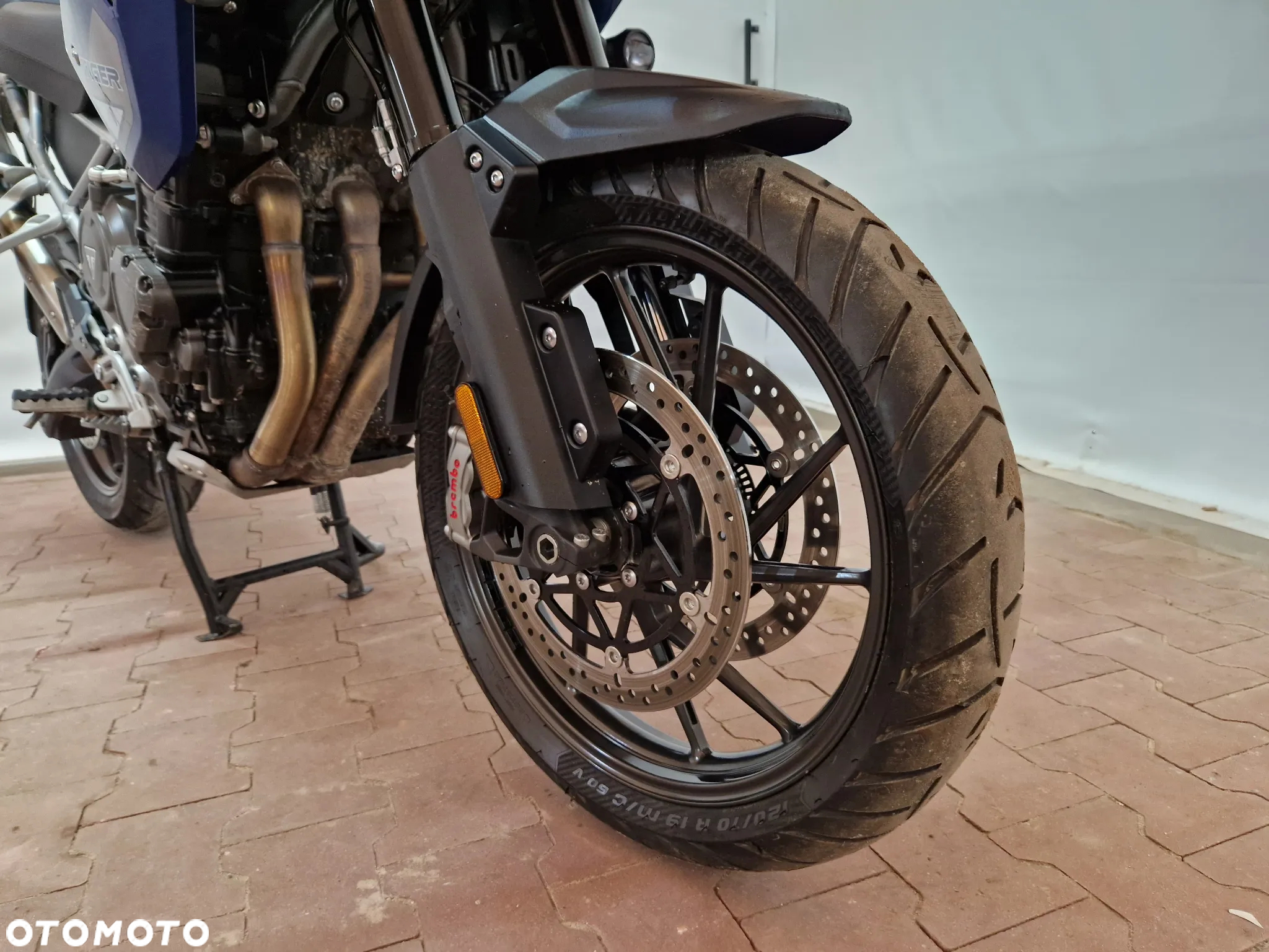Triumph Tiger - 11