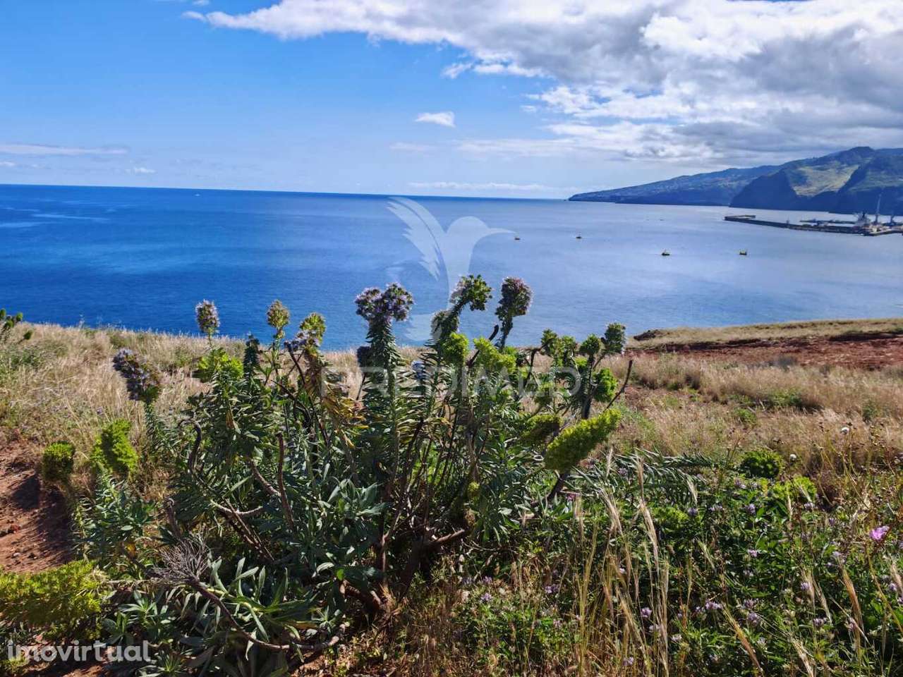 Terreno Premium com Vista Mar no Caniçal-Ideal para Projeto Turìstico - Grande imagem: 4/33