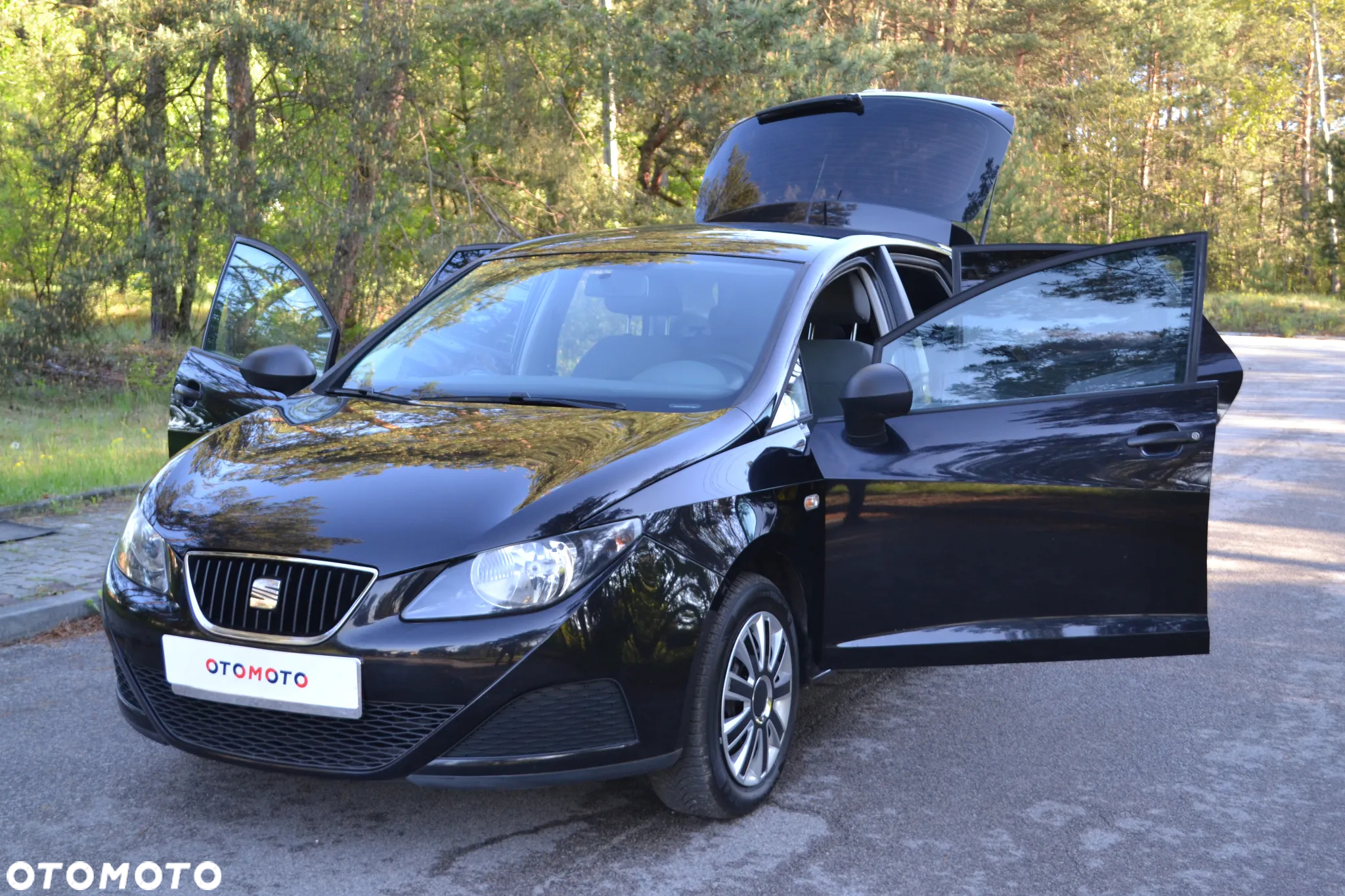 Seat Ibiza - 18