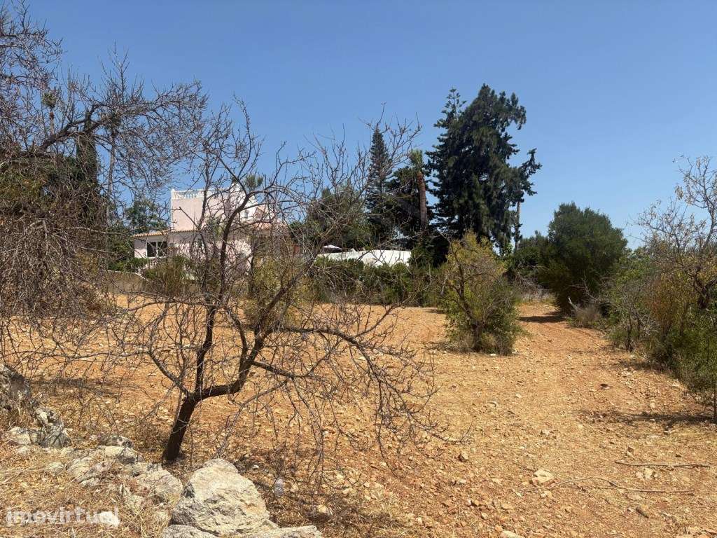 Terreno Rústico na Alfarrobeira, Loulé, Algarve - Grande imagem: 3/17