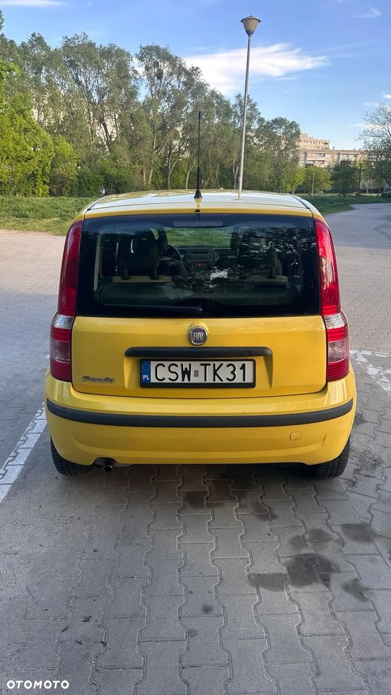 Fiat Panda 1.2 Active Eco - 3